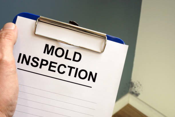 Best Mold Documentation for Insurance Claims  in Darlington, SC